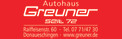 Logo Autohaus Peter Greuner HONDA Vertragshändler
